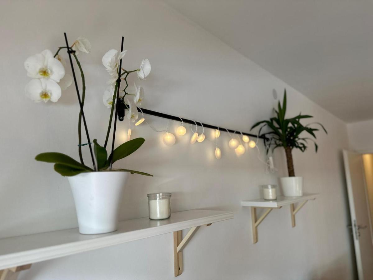 Olaf Und Hildegard Apartment บาดวิลด์บาด ภายนอก รูปภาพ